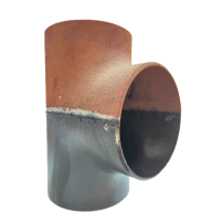 69DCC264-1D65-4E22-8E9D-6D14383472F1.png